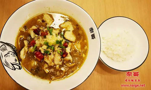 奈哥酸菜鱼m.naige.net