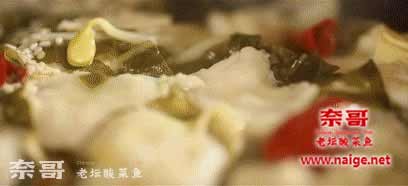 奈哥酸菜鱼www.naige.net